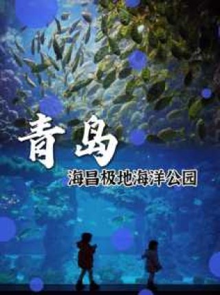 青岛两个海底世界哪个好，青岛两个海底世界哪个好都在什么地方？