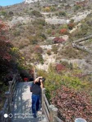 青州黄花溪风景区旅游攻略，青州黄花溪风景区门票费用？
