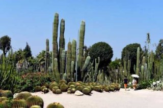 厦门植物园攻略，厦门植物园攻略介绍？