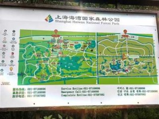 奉贤海湾森林公园门票？奉贤海湾森林公园门票老人有优惠吗？