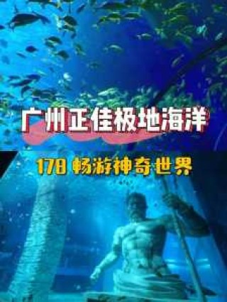 正佳极地海洋世界门票费用，正佳极地海洋世界门票费用两人票啥意思