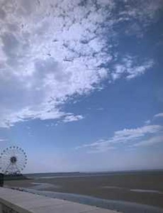 上海好玩又免费的海滩，上海哪个海滩比较好玩是免费的