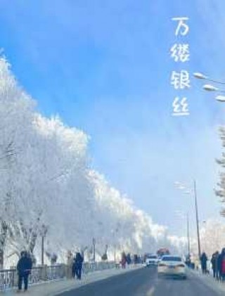 吉林市旅游信息网，吉林市旅游局电话号码