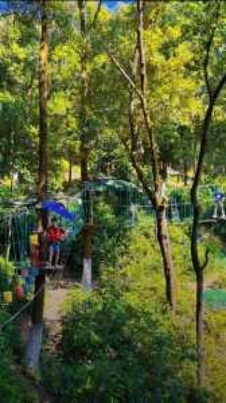 广州带孩子必须去22个地方？广州带孩子必须去22个地方免费？