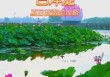 白洋淀农家院多少钱一天，白洋淀农家院住宿一天大概多少钱？