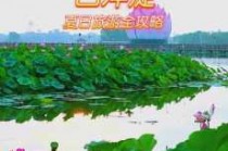 白洋淀农家院多少钱一天，白洋淀农家院住宿一天大概多少钱？