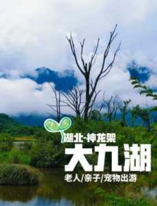 河南好玩的地方自驾游？河南最值得去的景区自驾游？