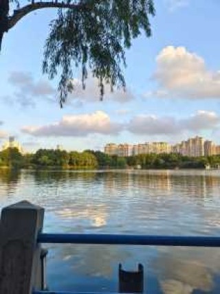 上海长风公园景点介绍，上海长风公园地址及门票?？