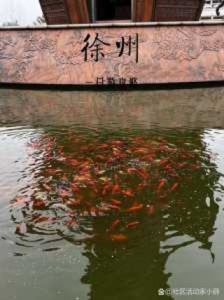徐州旅游景点哪里好玩的地方？徐州旅游景点推荐？