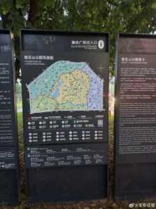 深圳莲花山公园，深圳莲花山公园要门票吗？
