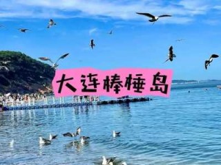 大连周边海岛旅游攻略？大连周边海岛旅游攻略图？