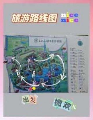 辰山植物园官方网站订票，辰山植物园 官方网站