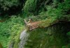 雅安前十旅游景点，雅安旅游景区