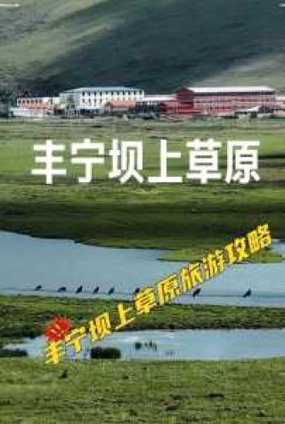 内蒙坝上草原旅游攻略，内蒙坝上草原旅游攻略路线？