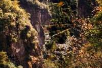 楠溪江风景区门票，楠溪江风景区门票优惠政策最新