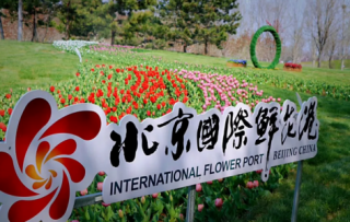 北京世界鲜花港官方网站，北京世界鲜花港门票预约