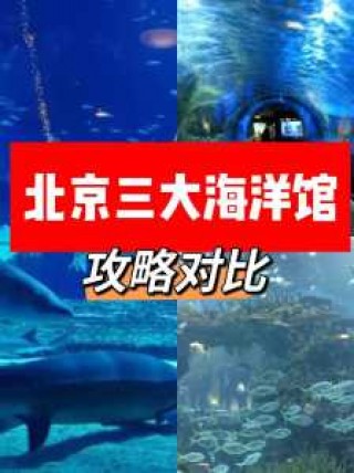 北京海底世界哪里比较好玩，北京海底世界那个比较好玩？