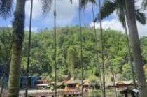 云南西双版纳旅游景点，云南西双版纳旅游景点推荐