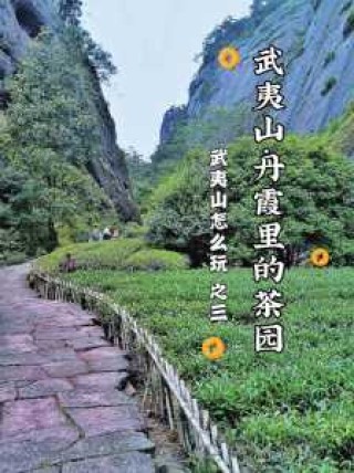武夷山住宿哪里好，武夷山住宿哪里方便
