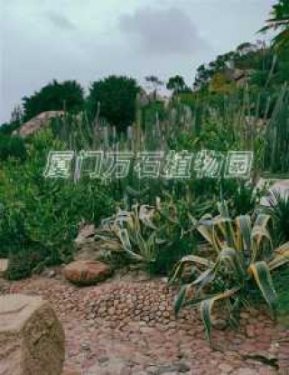 厦门万石植物园门票，厦门万石植物园门票老人有优惠吗