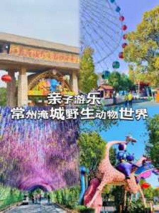 淹城野生动物园门票，淹城野生动物园门票包含小火车吗