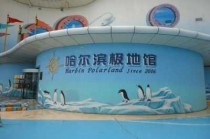 哈尔滨北极熊酒店预定？哈尔滨极地馆北极熊酒店费用？