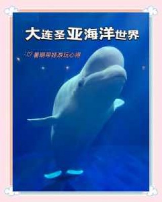大连圣亚海洋世界门票费用，大连圣亚海洋世界景点介绍