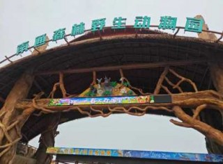 南通野生动物园旅游攻略一日游，南通野生动物园旅游攻略2020
