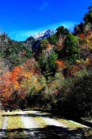 唐家河自然保护区，唐家河自然保护区是几A