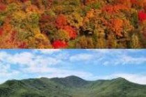 长白山红叶谷最佳时间？吉林长白山红叶谷美景的时间？