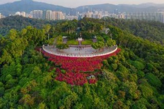 深圳可以去玩的地方有哪些？深圳有没有好玩的地方可以去？