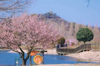 上海辰山植物园图片，上海辰山植物园图片怎么画