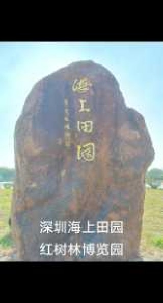 深圳海上田园门票，深圳海上田园门票包含哪些景点