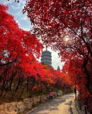 现在最佳旅游地？现在最佳旅游地方？