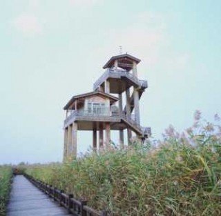 野鸭湖湿地公园攻略？野鸭湖湿地公园营业时间？