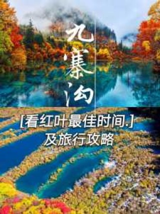 九寨沟什么季节去比较好，九寨沟什么季节去比较好旅游？