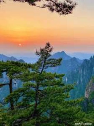 黄山风景区旅游攻略一日游？黄山风景区旅游攻略一日游景点？