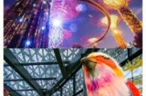 新加坡旅游一周多少钱，新加坡旅游一星期需要多少钱