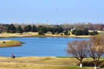 上海太阳岛度假村官方网站，上海 太阳岛度假村