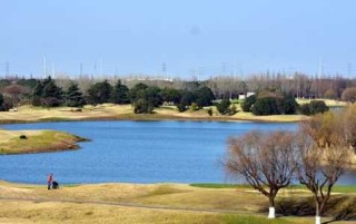 上海太阳岛度假村官方网站，上海 太阳岛度假村