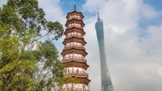 广州公园景点排名，附近免费公园 景点