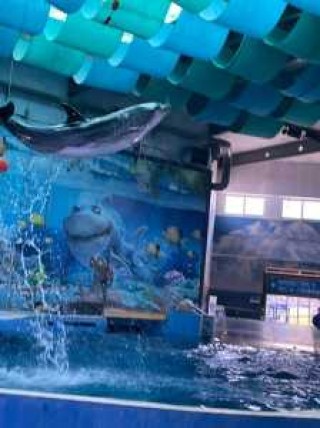 南京海底世界门票团购，2020南京海底世界门票多少钱