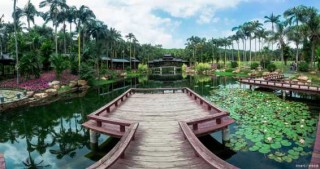 南宁旅游攻略必玩的景点，南宁旅游攻略必玩的景点免费有哪些