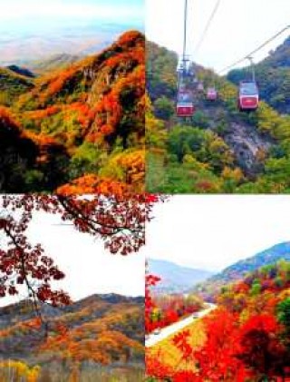 吉林蛟河红叶谷旅游攻略，蛟河红叶谷怎么样,值得一去吗？