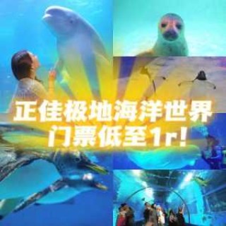 北海海底世界门票优惠政策，北海海底世界门票优惠政策有哪些