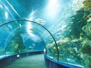 附近哪里有海底世界，附近哪里有海底世界免费的