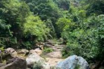 佛山南海湾森林生态园，佛山南海湾森林生态园好玩吗？