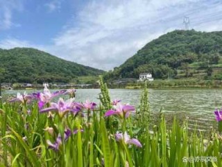 6月份去哪里旅游比较好国内？6月份去哪旅游合适？