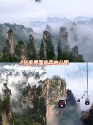 张家界旅游费用三日游？张家界3日游费用？