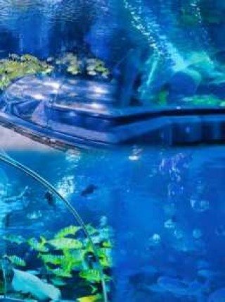 富国海底世界营业时间，富国海底世界营业时间最新？